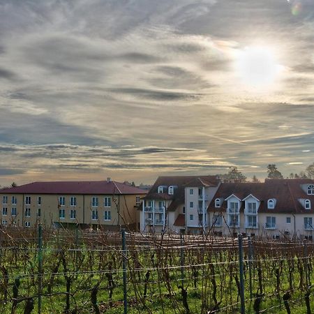 Das Prinzregent Edenkoben Exteriör bild